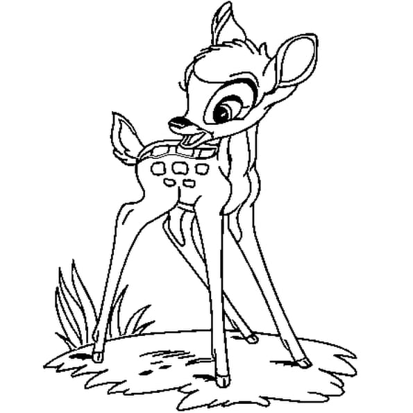 comment dessiner bambi