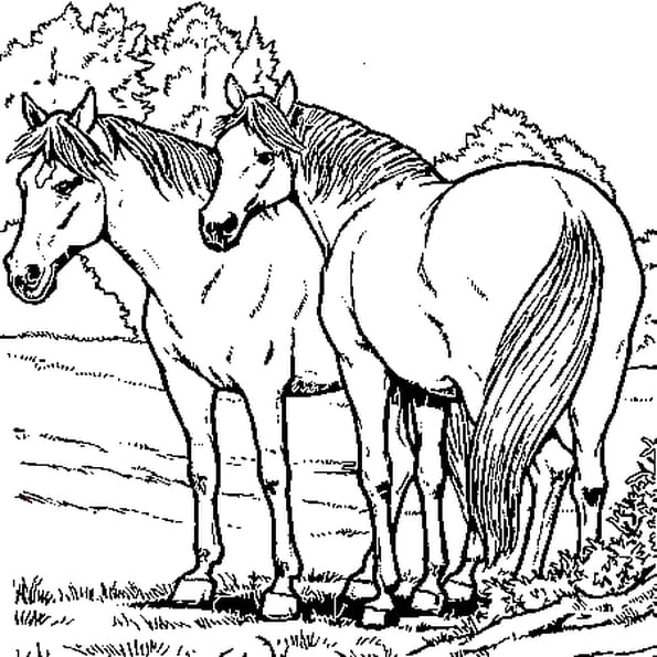 Coloriage Cheval sur Hugolescargot  - coloriage de chevaux a imprimer