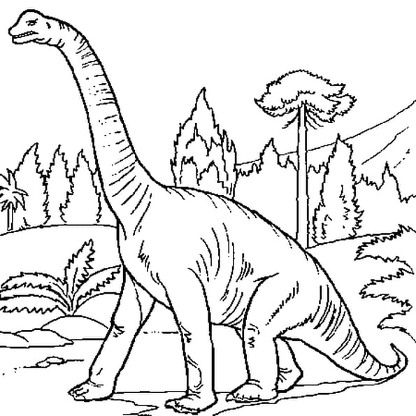 coloriage dinosaure gratuit - Coloriage Dinosaure sur Hugolescargot 