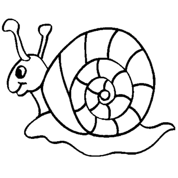 Résultat de recherche d'images pour "escargot dessin couleur"