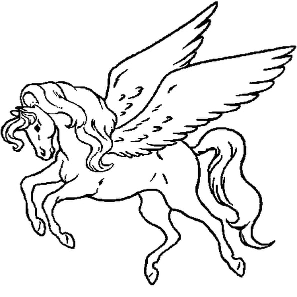 camera horse coloring pages - photo #22